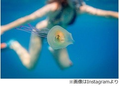 クラゲの体内で泳ぎ続ける魚「これはすごい」「海は神秘の世界だ」。