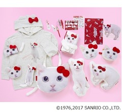 ハローキティ×人気猫“あなごちゃん”コラボ