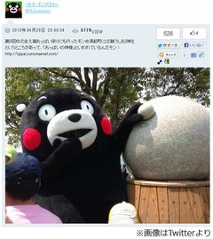 くまモンがおっぱいモミモミ、野獣のような大胆写真をTwitterで公開。