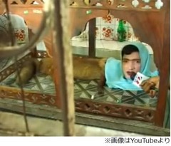 体はキツネで顔は人間の珍獣、パキスタンの動物園で“飼育”され人気。