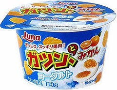 「ガツみか」がヨーグルトに、ぎっしり入ったみかんの果肉と相性ピッタリ。