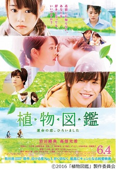 「植物図鑑」の胸キュンシーン、“キス寸前”連発など最新予告編完成。