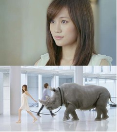 あっちゃん相棒は“飼いサイ”、「マイナビ転職」の新CMスタート。