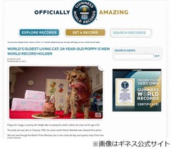 24年生きる“世界最長寿”の猫、長生きの秘訣は「よく食べよく動く」。