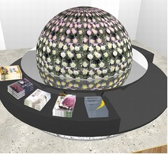 従来の菊のイメージ一変“菊の惑星”
