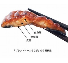 日清食品「プラントベースうなぎ」開発に成功、蒲焼きを再現