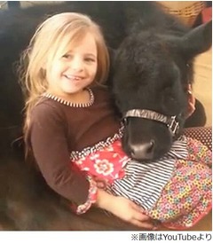 5歳少女が家に連れてきた○○、母親の“尋問”にもおとぼけ「えっとー」。