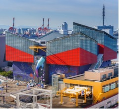 北川景子「家族で海遊館に3年連続行ってる」、朝ドラの撮影もあり大阪にはよく行く