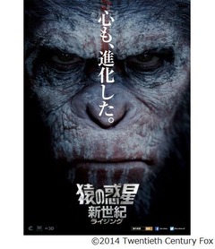 新「猿の惑星」のポスター第1弾、進化した主人公シーザーの決意の表情。