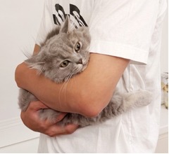 高橋克典、“抱っこされる愛猫”に「慣れたにょか！？ 目、怒ってるよな」