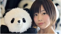 PANDA 1/2が再びUST生中継旅、パンダ巡り世界一周で行き忘れた豪から。