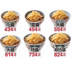 吉野家「ねぎだく牛丼」全国販売へ