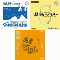 「潮騒のメモリー」久慈限定版、“残念なお土産”コンセプトのデザイン。