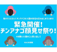 すみだ水族館に未曾有の事態、チンアナゴが人間忘れ始める