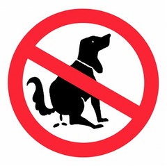 犬のフン片付けないのは誰だ？ アパート管理人が住民に犬のDNA提出求める。