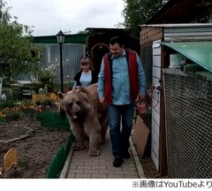 23年間クマと一緒に暮らす夫婦「信じられない」「さすがロシア」。