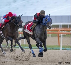 “地方競馬初”海外のダート重賞制覇、G3コリアカップで快挙