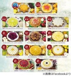 キルフェボンが冬限定タルト、全国の各店舗でしか味わえない新作。