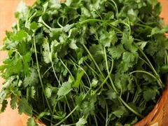 アジア料理とパクチー食べ放題、「アジアン・パクチーフェア」開催。