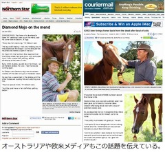 疝痛に襲われ瀕死の状態になった愛馬、ビール飲ませたら嘘のように回復。