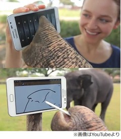 ゾウがスマホで遊ぶCMに反響、サムスン「GALAXY Note」を巧みに操作。