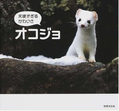 “天使すぎる”オコジョ写真集、貴重なかわいらしい表情が満載。