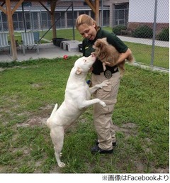 “特別な絆”想い合う2匹の犬、目を患ったパートナー咥えて連れ歩く。