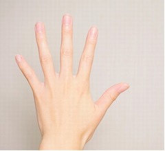 “親指の長さ”と“脳の大きさ”に予想外の関連性、2600人以上対象の研究で判明
