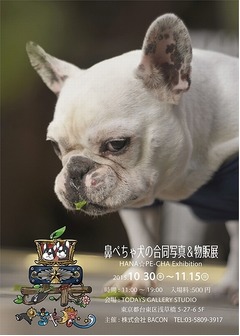 ぶひ可愛い鼻ぺちゃ犬の世界、合同写真＆物販展「鼻ぺちゃ展」開催。
