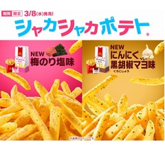 マクドナルド「シャカシャカポテト」に2つの新しい味