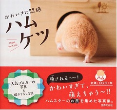 キュートな“ハムケツ”写真集、自然体のハムスターのお尻写真が満載。