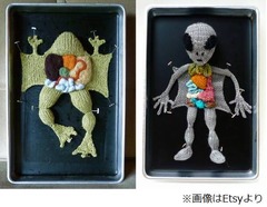【写真】宇宙人や蛙“解剖”するニット、科学の世界をアートで表現。