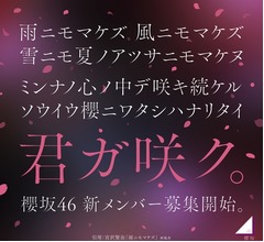 櫻坂46が約2年ぶり“新メンバーオーディション”開催、ティザー映像も公開