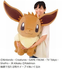 イーブイの“癒し”ぬいぐるみ、抱えるサイズの特大イーブイも当たる。
