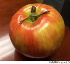 リンゴから“何か”が生まれてきた…