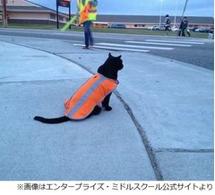 毎日登下校見守る15歳の黒猫、“挨拶”交わして子どもたちを笑顔に。