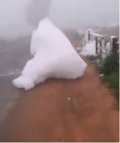 白い雲が空から落ちてきた？ 地表一面を謎のモワモワが埋め尽くす。