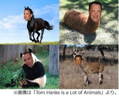 動物とトム・ハンクスを合体、「超バカバカしい」コラ画像ブログが人気。