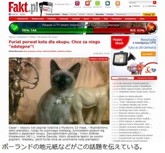 猫誘拐犯が1億円の身代金要求、飼い主は悲しむも「6万円程度の価値」。