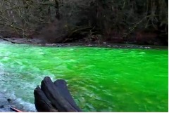 カナダの川の水が不気味な蛍光色に、見慣れぬ光景に目撃者は「ショック」。