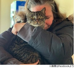 姿消した愛猫、5年間の“散歩”から帰宅