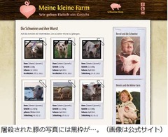 ソーセージにする豚を“選挙”、ドイツの農場が始めた販売方法の狙い。