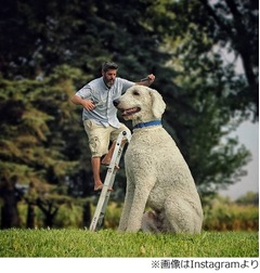 もし巨大な愛犬と生活したら…、犬との楽しい生活を表現した作品に反響。