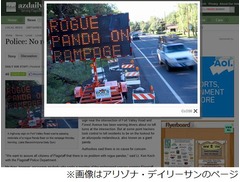 「野良パンダが大暴れ」電光交通標識メッセージがハッキングされる。