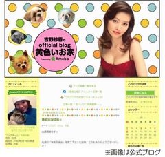 吉野紗香が過去の“毒舌”反省、4年ぶりのバラエティ番組出演で。