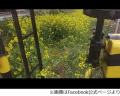 一部“撮り鉄”に鉄道会社苦言「好き勝手やる方はもう来ないで」。