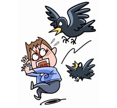 カラスの“恨みつらみ”は17年間続く、相手を長期間記憶していることが判明