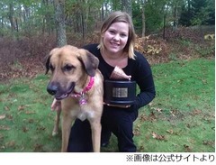 ペットの思わぬ災難コンテスト、オニオンリング1キロ食べた犬が優勝。