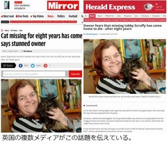 8年行方不明の猫が戻ってきた、死期を悟って元の飼い主のところへ？