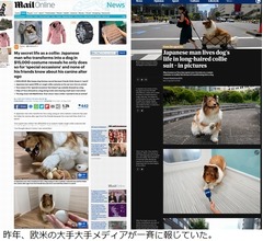 犬になりたかった日本人男性、200万円超の“変身”コスチュームがすごい
